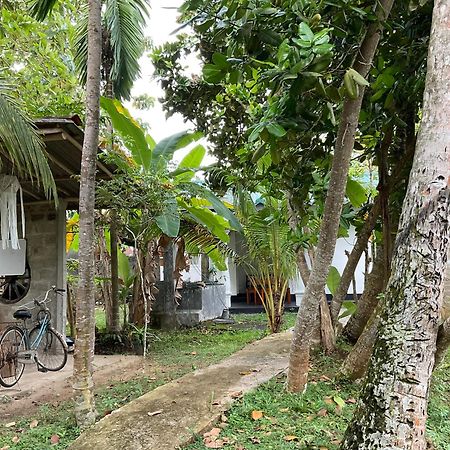 Bird Villa Galle Luaran gambar