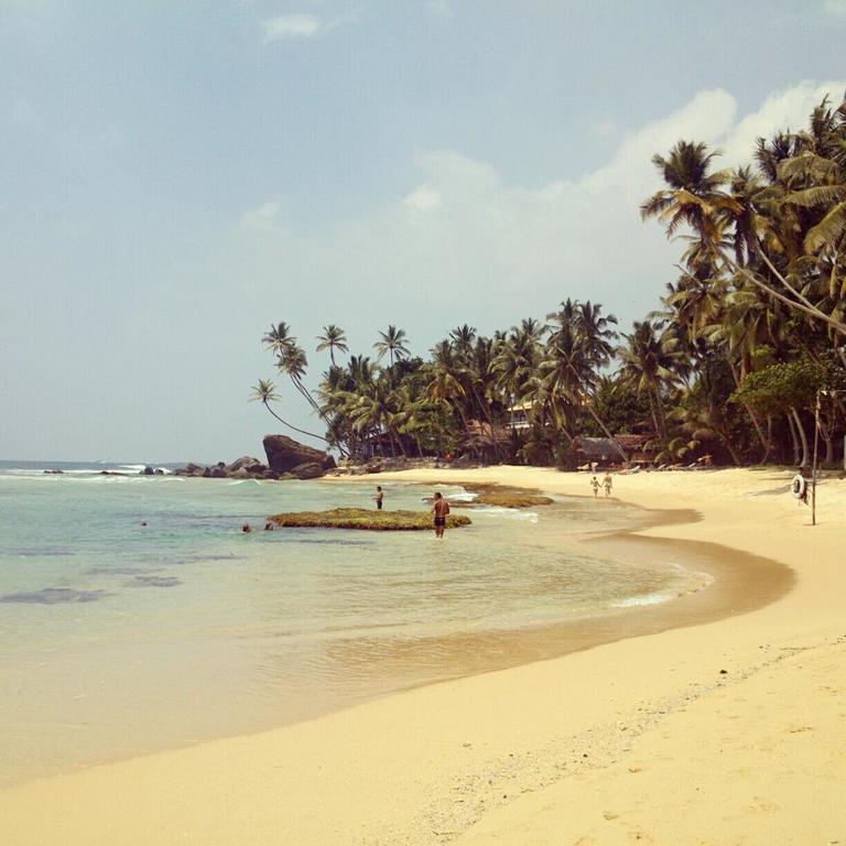 Bird Villa Galle Bilik gambar