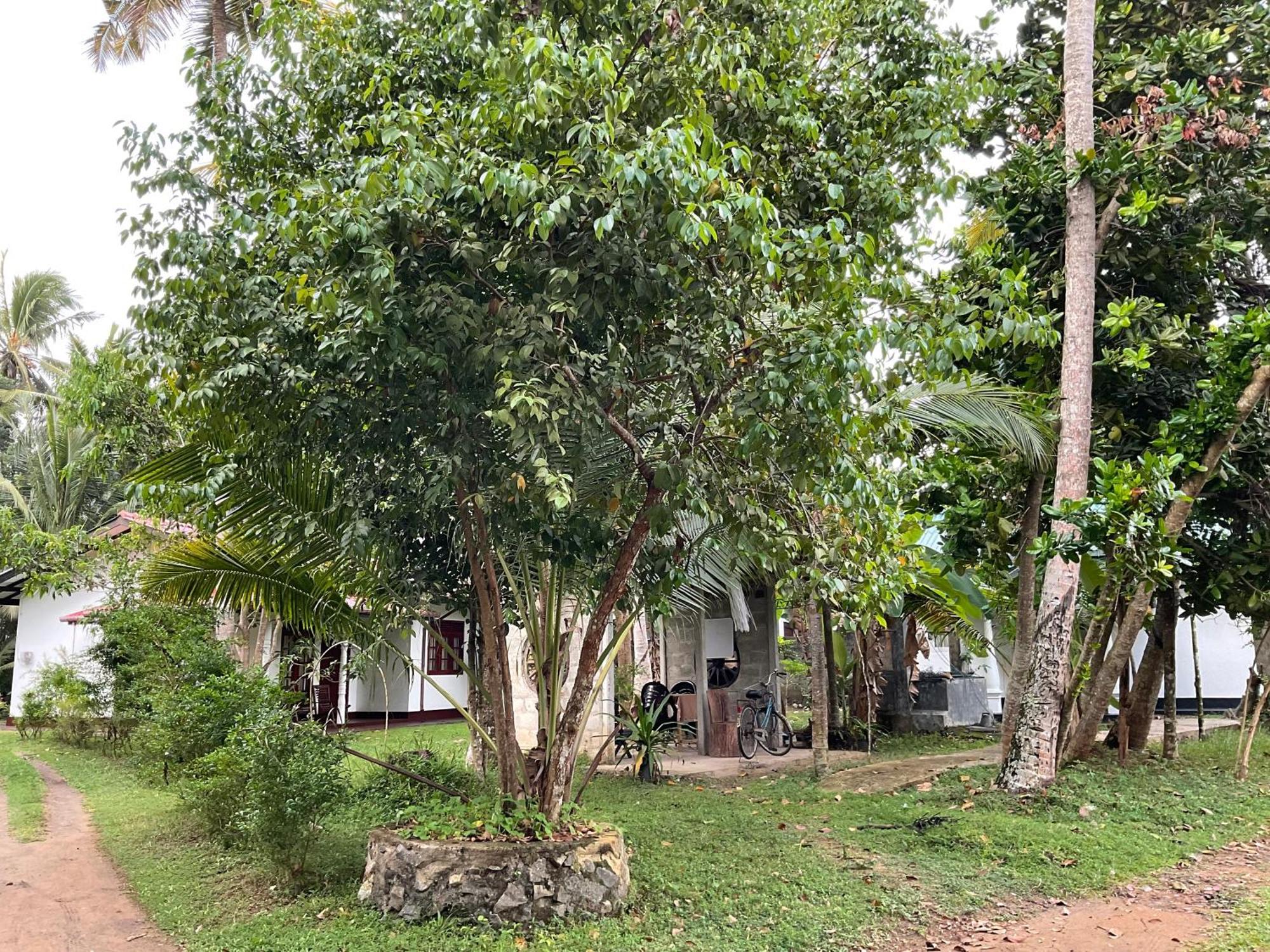 Bird Villa Galle Luaran gambar