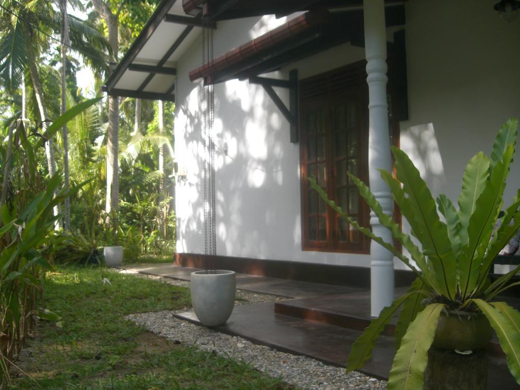 Bird Villa Galle Bilik gambar